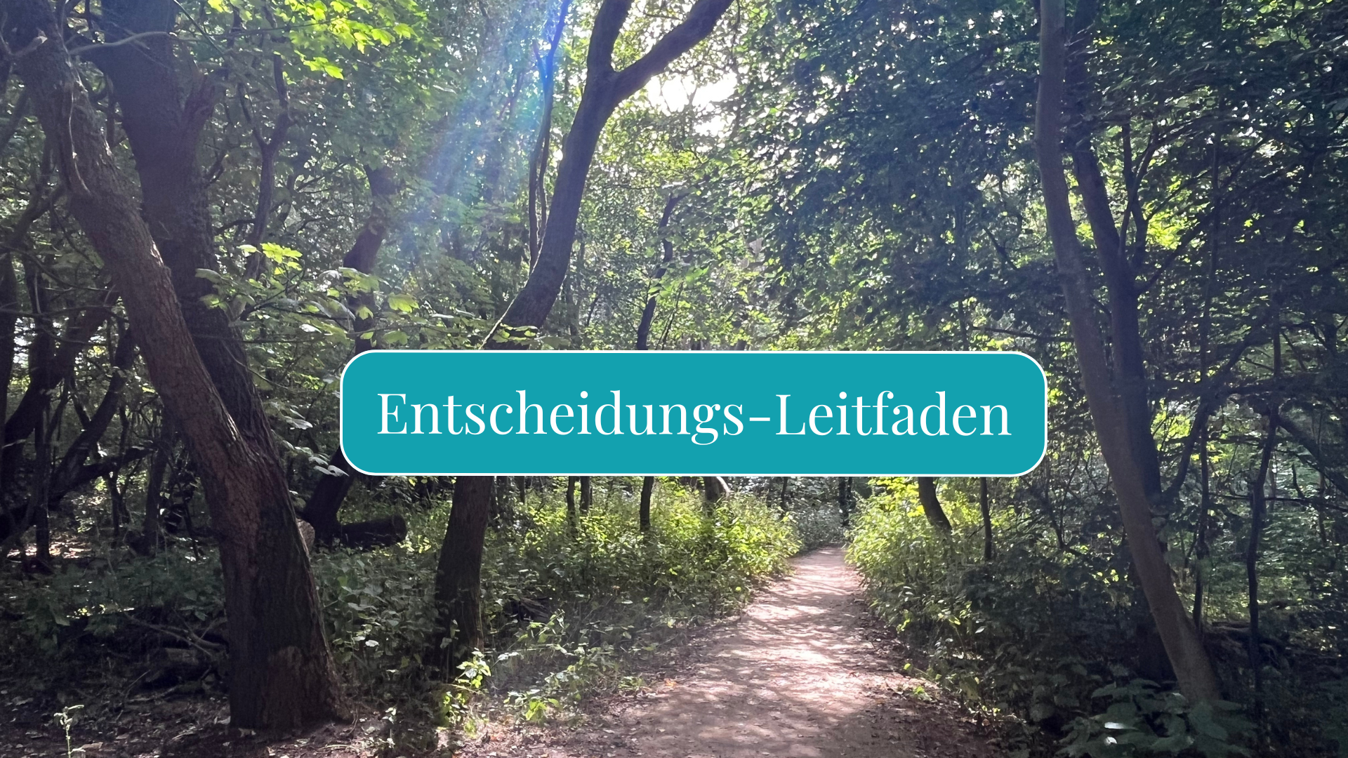 Entscheidungswege - ein Leitfaden für Feinfühlige