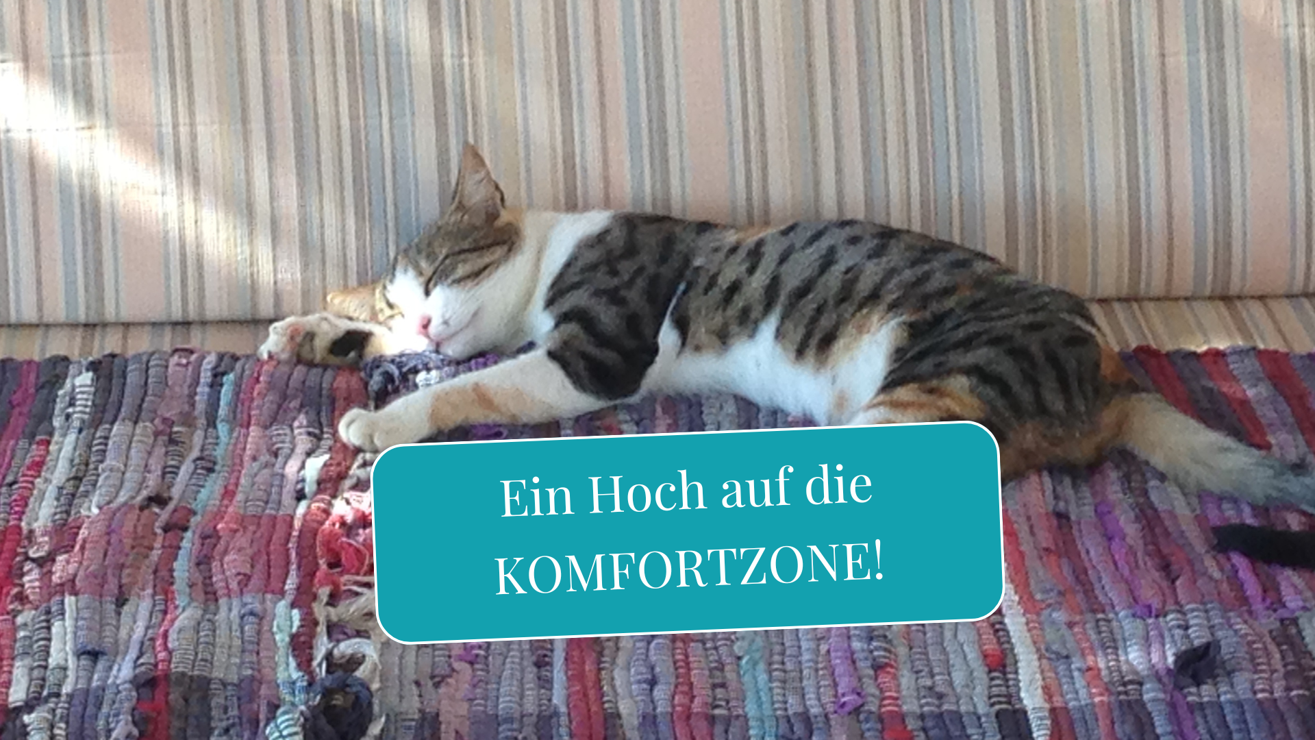 Ein Hoch auf die Komfortzone!