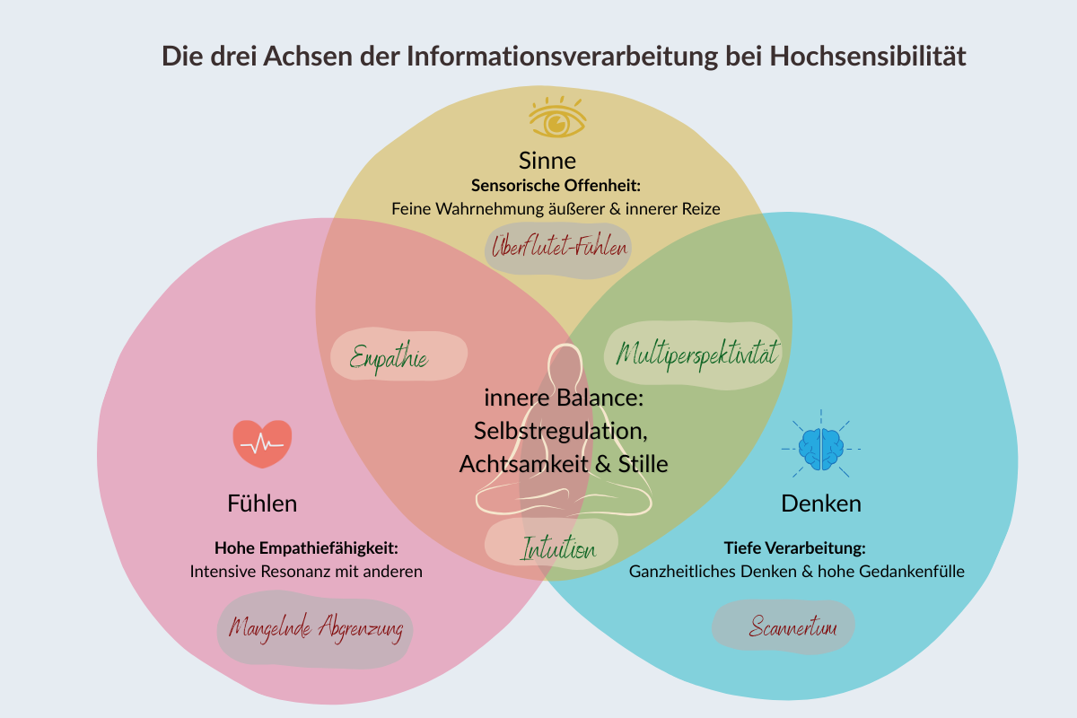 Modell zur Beschreibung der 3 Achsen von Hochsensibilität: Sinne-Fühlen-Denken.