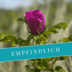 Hochsensibel = empfindlich oder sensibel stark?