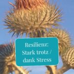 Resilienz stärken: Die Natur zeigt, wie es geht!